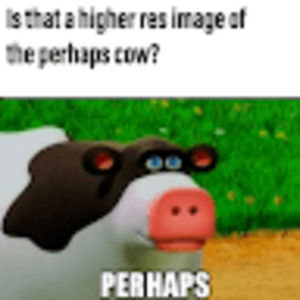 Meet your Posher, Andy